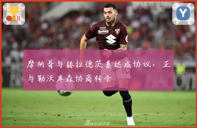 摩纳哥与赫拉德茨基达成协议，正与勒沃库森协商转会