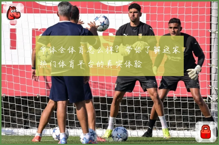 华体会体育怎么样？带你了解这家热门体育平台的真实体验