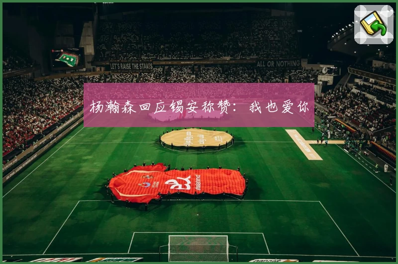 杨瀚森回应锡安称赞：我也爱你
