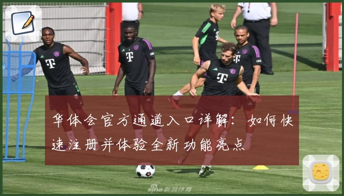 华体会官方通道入口详解：如何快速注册并体验全新功能亮点